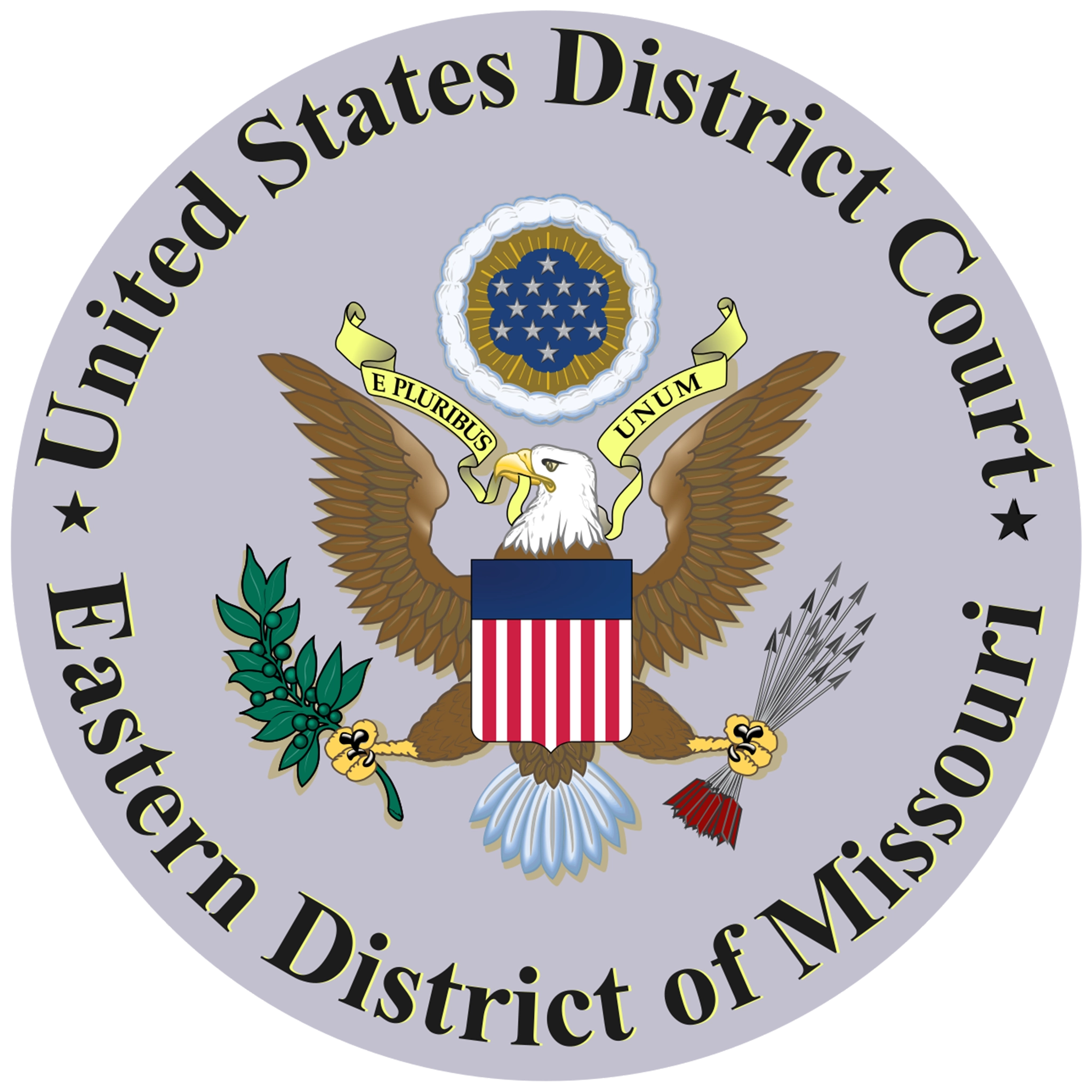Raghebi-Law-United-States-District-Court-Eastern-district-of-Mo