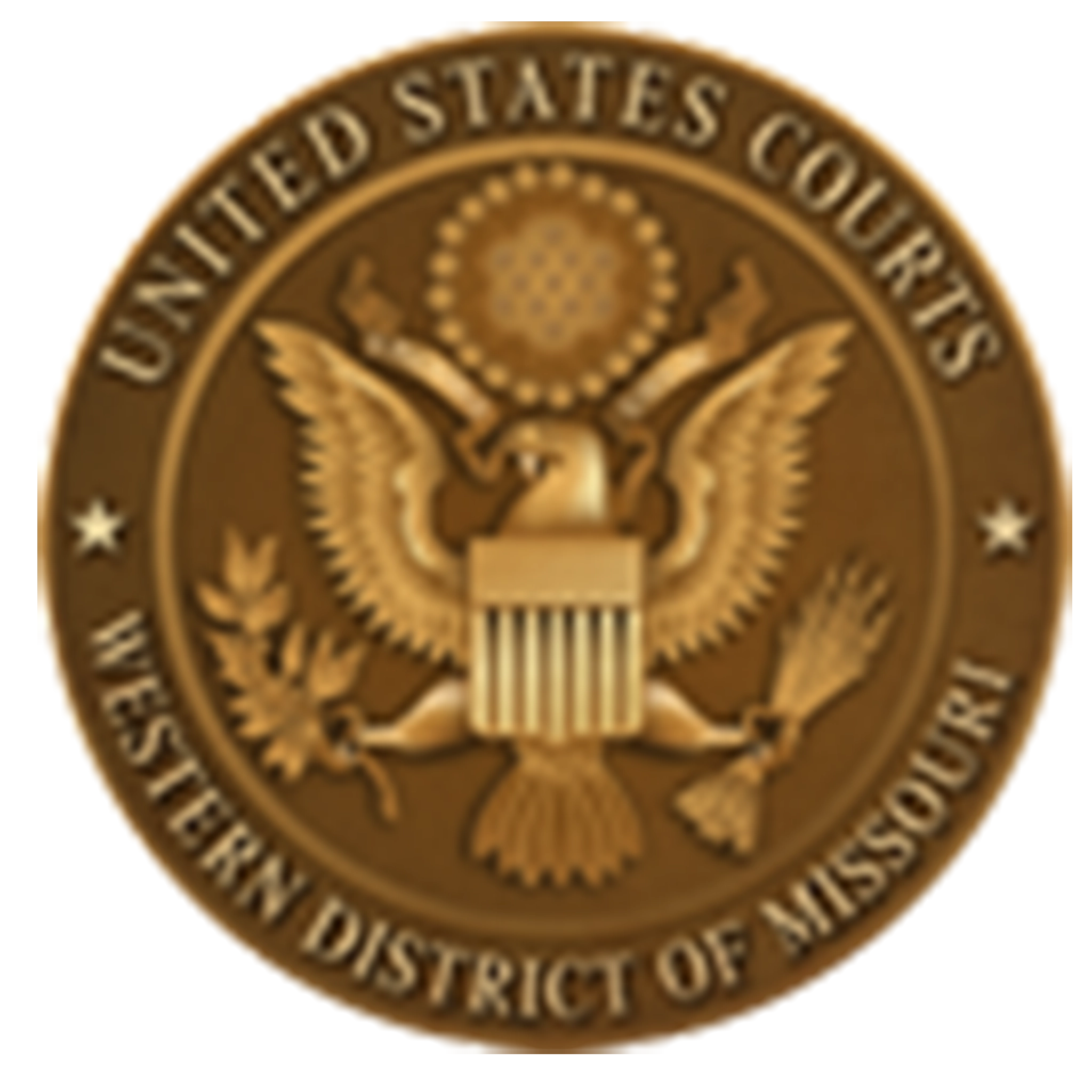 Raghebi-Law-United-States-Eastern-district-logo